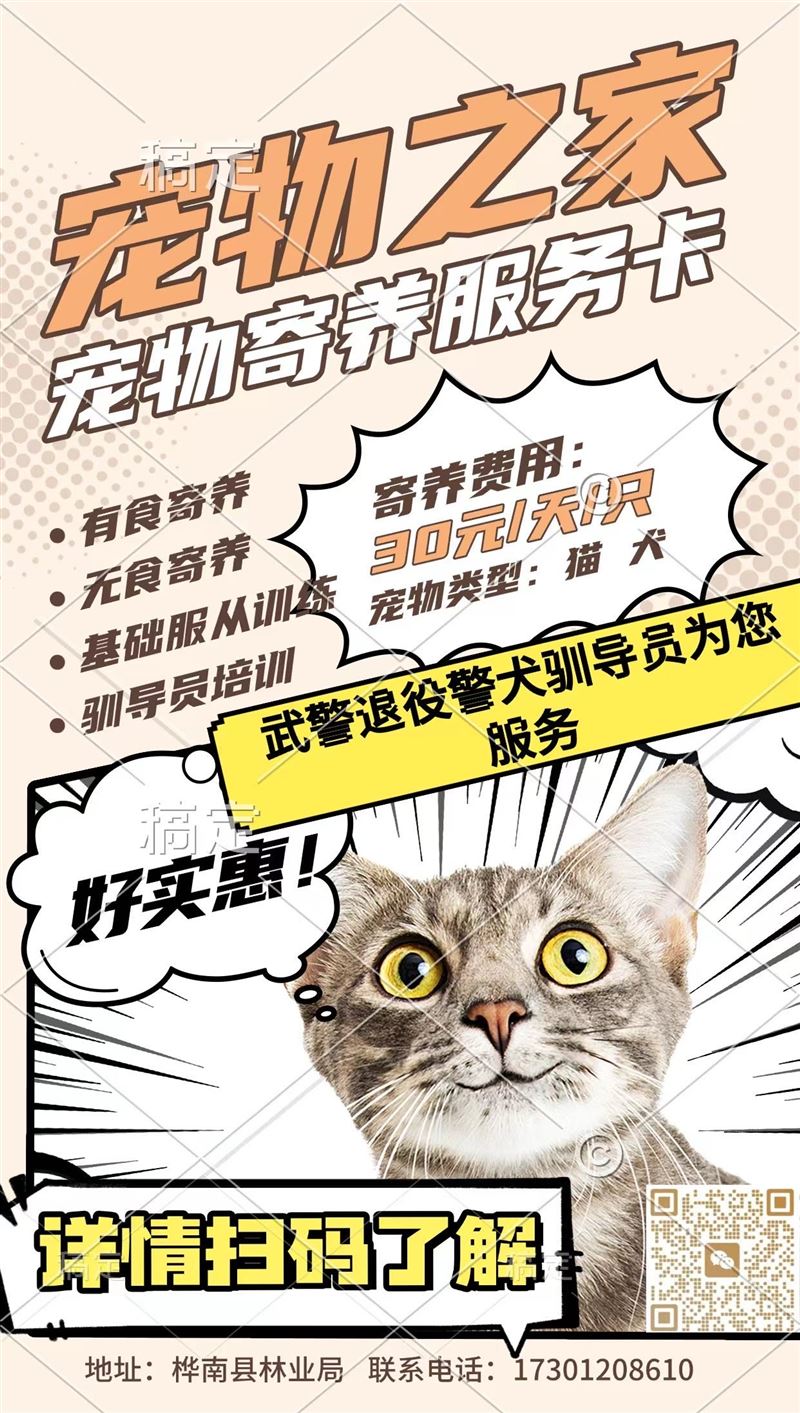 求职:宠物寄养 代遛